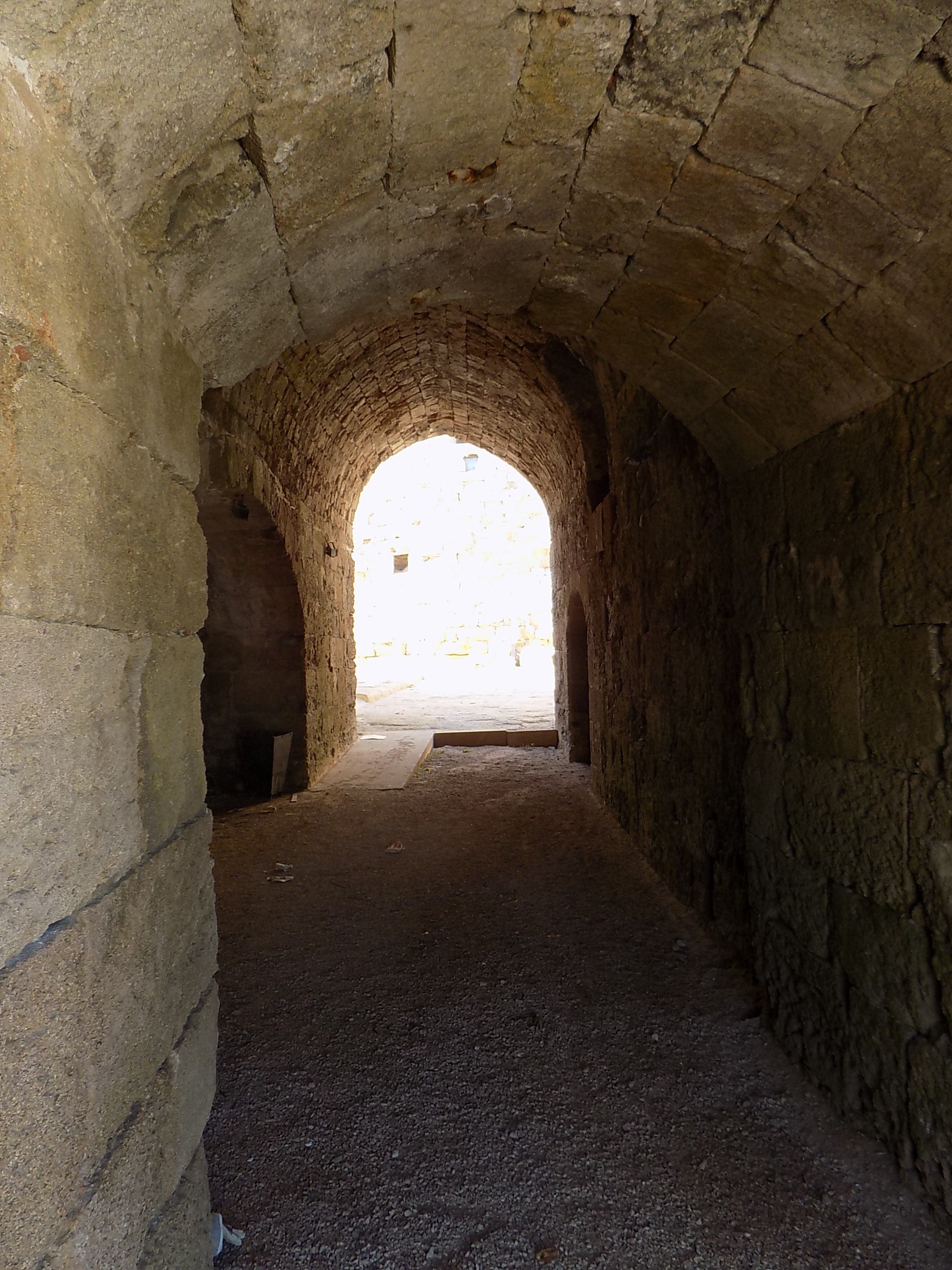 DSCN0153